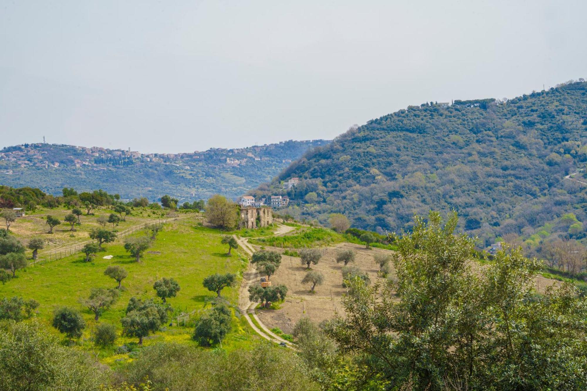 Il Panorama Housing Cilento Aparthotel Santa Maria di Castellabate Exteriör bild
